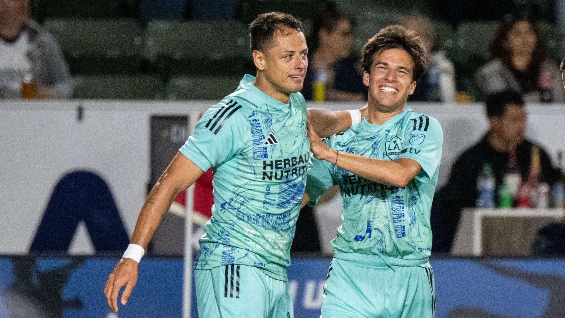 水平的本土 水平的本土