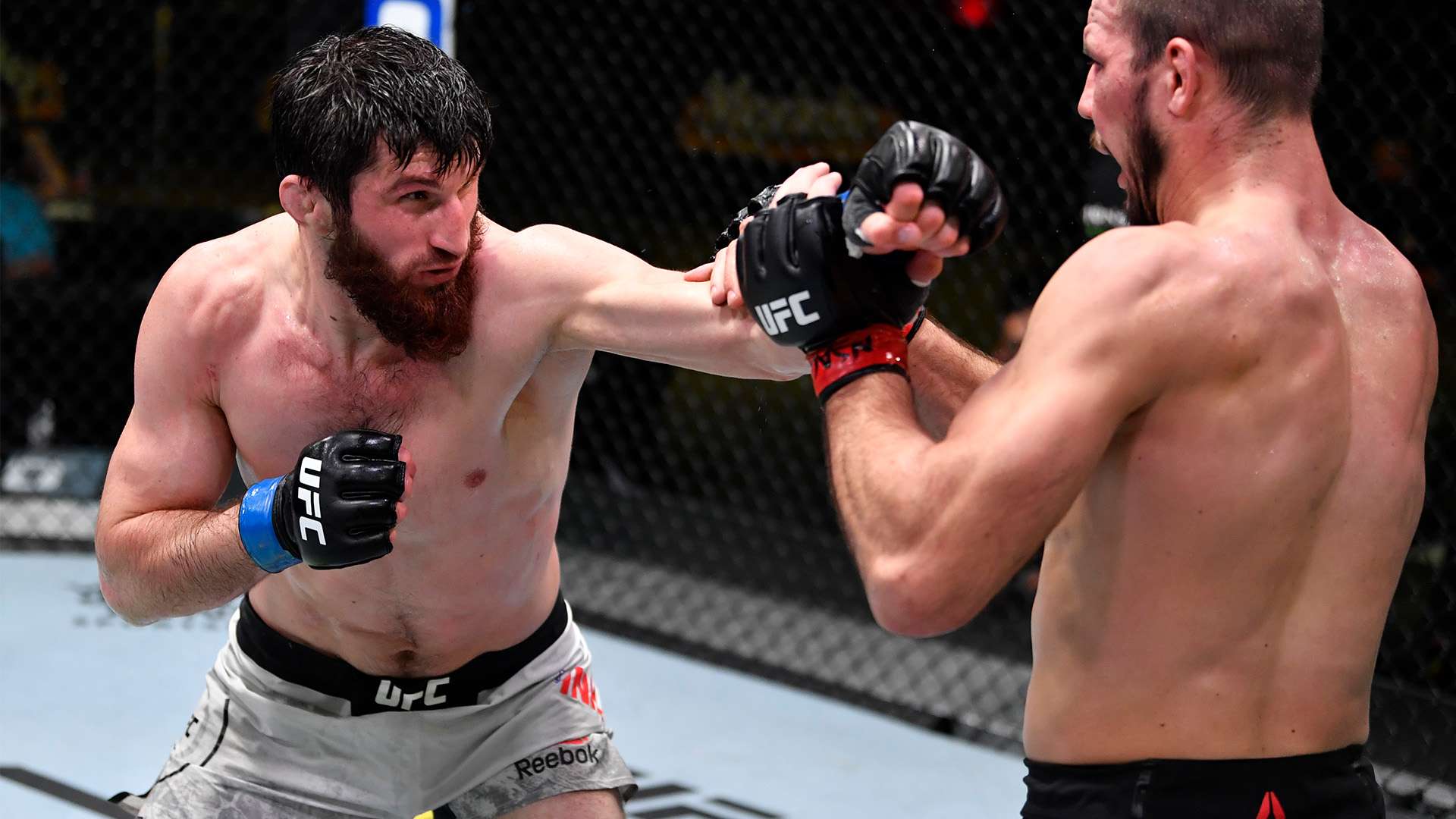 也为未来的 也为未来的