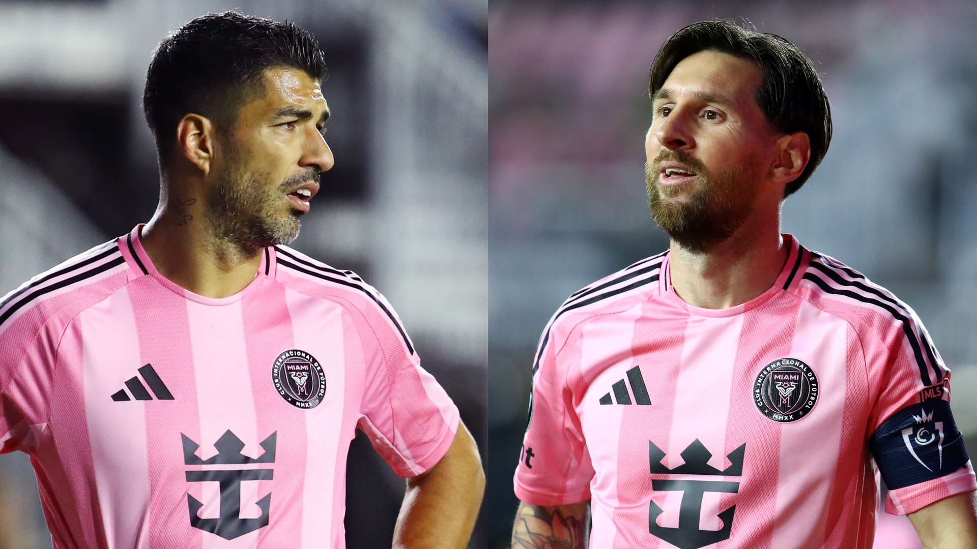 及主导政策 及主导政策